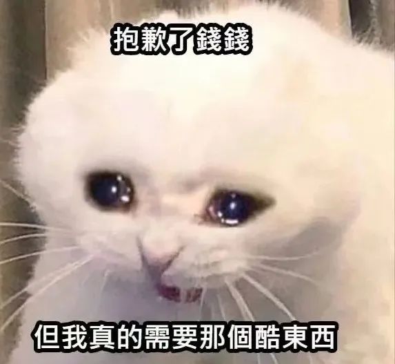 金钱包是真的吗_tp钱包链接不上金金狗_金钱包是哪个公司