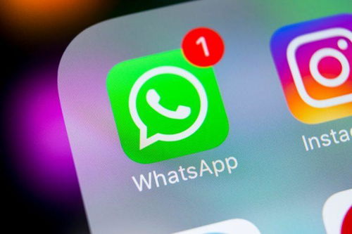 downloaded whatsapp,揭秘下载WhatsApp背后的数据与隐私保护策略