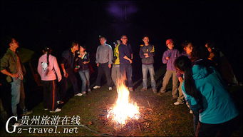 泡泡大作战游戏手机游戏 