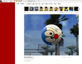 趣味猫主题游乐园手游中文版下载 趣味猫主题游乐园手游中文版下载