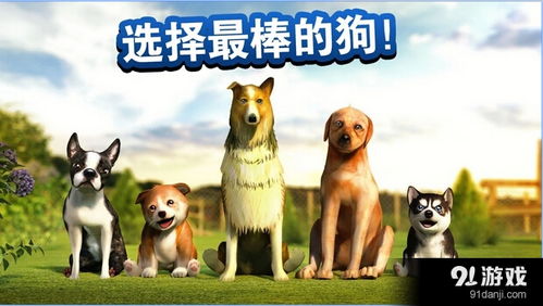 遇见你的狗狗游戏手机版 遇见你的狗狗游戏手机版