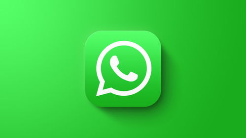 whatsapp筛选有没有注册,WhatsApp用户注册情况深度分析