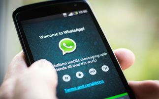 whatsapp 系统时间,WhatsApp记录全球实时沟通瞬间