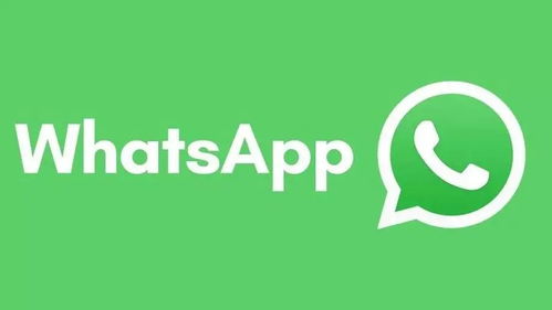 whatsapp不能发验证码,