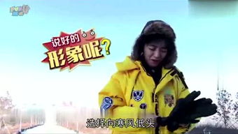 真恶狼传说游戏 