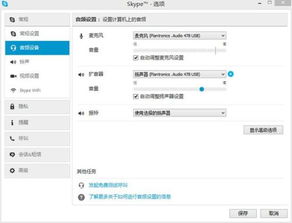 skype无法播放语音消息,Skype语音消息播放故障解析与解决攻略